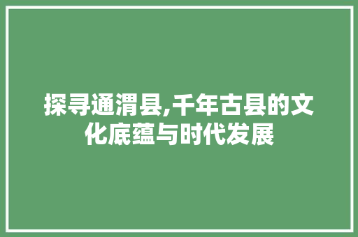 探寻通渭县,千年古县的文化底蕴与时代发展 神马SEO