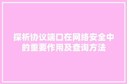 探析协议端口在网络安全中的重要作用及查询方法 神马SEO