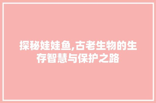 探秘娃娃鱼,古老生物的生存智慧与保护之路 GoogleSEO