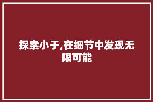 探索小于,在细节中发现无限可能 搜狗SEO
