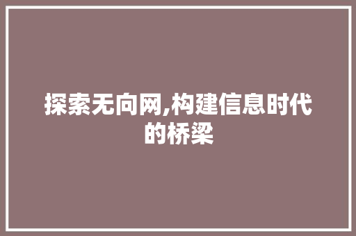 探索无向网,构建信息时代的桥梁 神马SEO