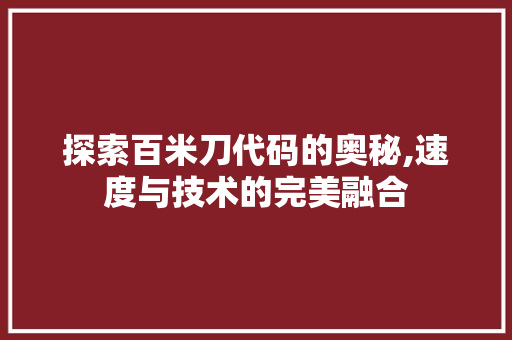 探索百米刀代码的奥秘,速度与技术的完美融合 神马SEO