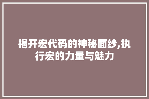 揭开宏代码的神秘面纱,执行宏的力量与魅力 GoogleSEO