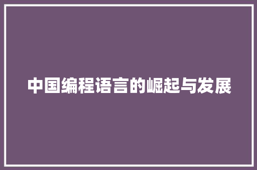 中国编程语言的崛起与发展 必应SEO