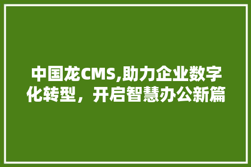 中国龙CMS,助力企业数字化转型，开启智慧办公新篇章