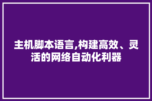 主机脚本语言,构建高效、灵活的网络自动化利器 GoogleSEO