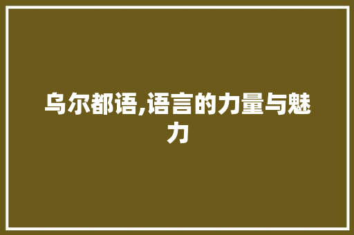 乌尔都语,语言的力量与魅力 必应SEO
