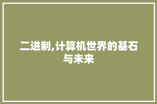 二进制,计算机世界的基石与未来 百度SEO