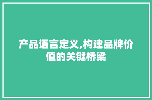 产品语言定义,构建品牌价值的关键桥梁 百度SEO