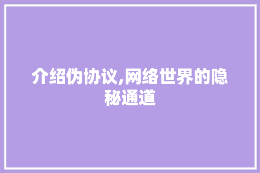 介绍伪协议,网络世界的隐秘通道 搜狗SEO