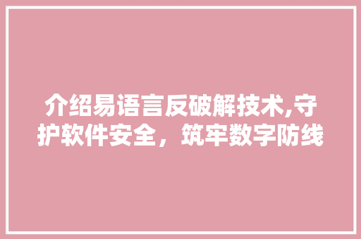 介绍易语言反破解技术,守护软件安全，筑牢数字防线 百度SEO