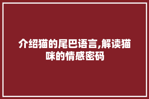 介绍猫的尾巴语言,解读猫咪的情感密码 百度SEO