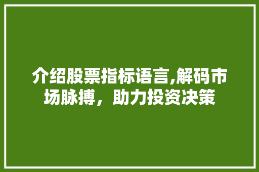 介绍股票指标语言,解码市场脉搏，助力投资决策 GoogleSEO