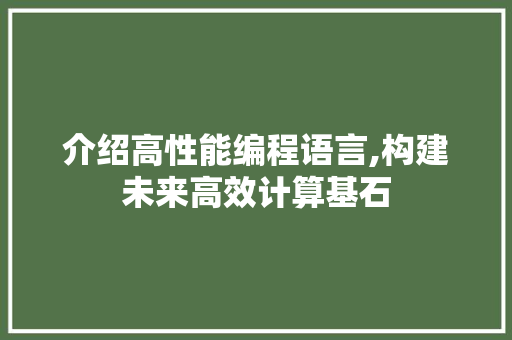 介绍高性能编程语言,构建未来高效计算基石 神马SEO