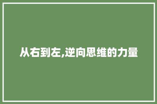 从右到左,逆向思维的力量 神马SEO