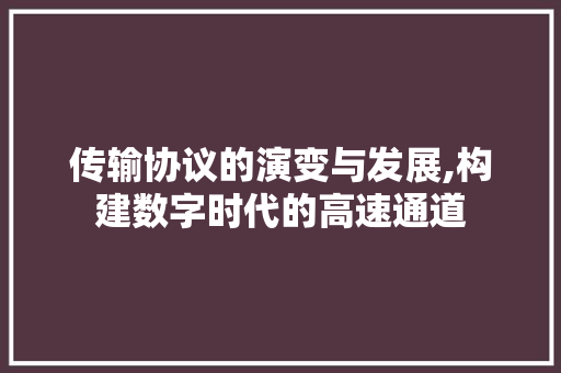 传输协议的演变与发展,构建数字时代的高速通道 搜狗SEO