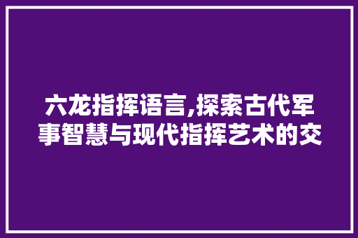 六龙指挥语言,探索古代军事智慧与现代指挥艺术的交融 神马SEO