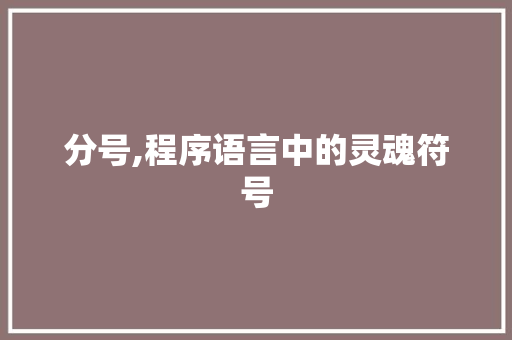 分号,程序语言中的灵魂符号 GoogleSEO