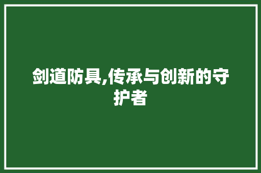 剑道防具,传承与创新的守护者 搜狗SEO