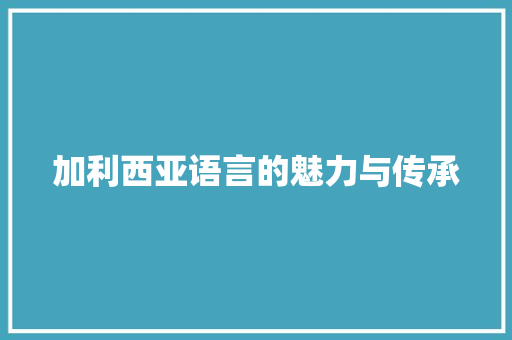 加利西亚语言的魅力与传承 百度SEO