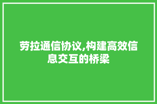 劳拉通信协议,构建高效信息交互的桥梁 必应SEO