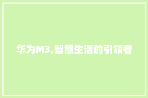 华为M3,智慧生活的引领者 神马SEO
