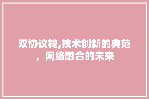 双协议栈,技术创新的典范，网络融合的未来 GoogleSEO