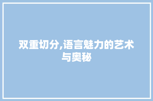 双重切分,语言魅力的艺术与奥秘 GoogleSEO