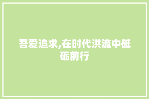 吾爱追求,在时代洪流中砥砺前行 GoogleSEO