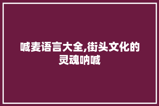 喊麦语言大全,街头文化的灵魂呐喊 百度SEO