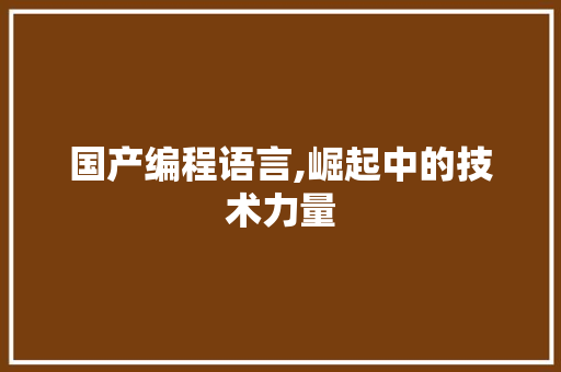 国产编程语言,崛起中的技术力量 神马SEO