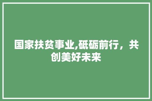 国家扶贫事业,砥砺前行，共创美好未来 神马SEO