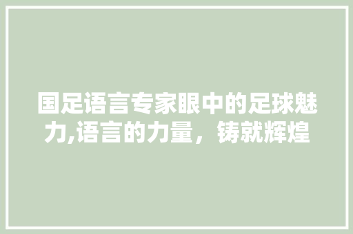 国足语言专家眼中的足球魅力,语言的力量，铸就辉煌 必应SEO