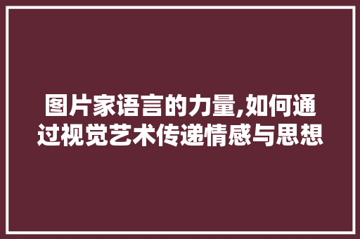 图片家语言的力量,如何通过视觉艺术传递情感与思想 百度SEO