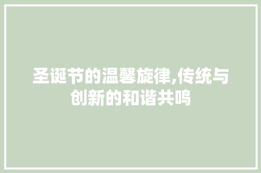 圣诞节的温馨旋律,传统与创新的和谐共鸣 搜狗SEO