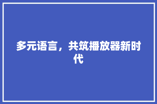 多元语言，共筑播放器新时代 神马SEO