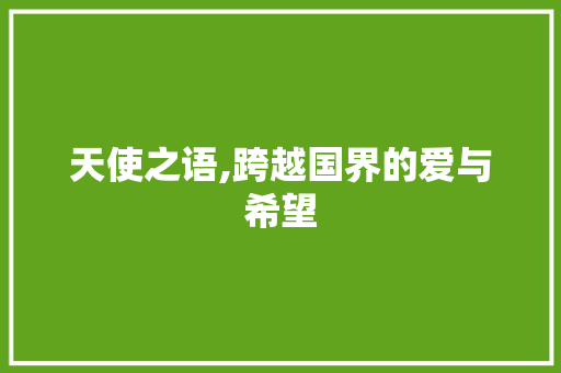 天使之语,跨越国界的爱与希望 GoogleSEO