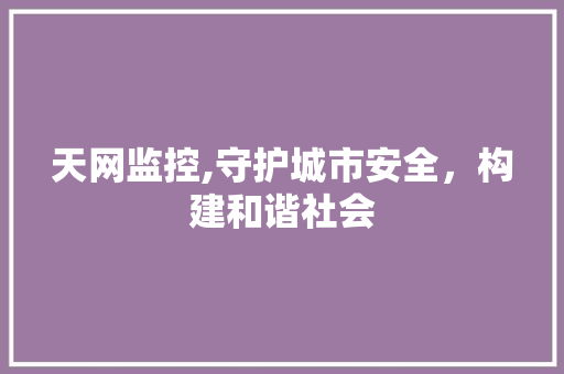 天网监控,守护城市安全，构建和谐社会