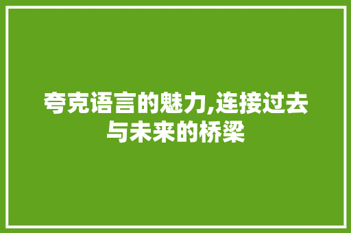 夸克语言的魅力,连接过去与未来的桥梁 必应SEO