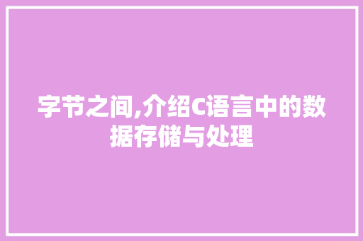 字节之间,介绍C语言中的数据存储与处理 GoogleSEO