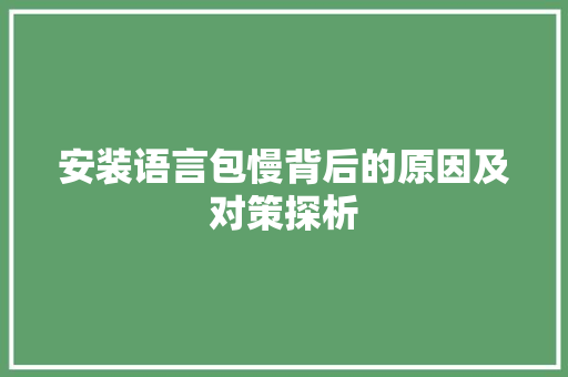 安装语言包慢背后的原因及对策探析 搜狗SEO