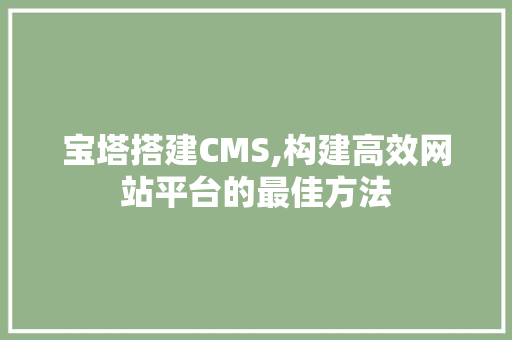 宝塔搭建CMS,构建高效网站平台的最佳方法 必应SEO