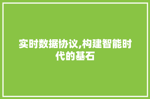 实时数据协议,构建智能时代的基石