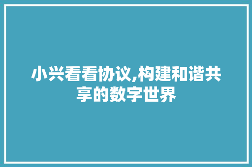 小兴看看协议,构建和谐共享的数字世界 必应SEO