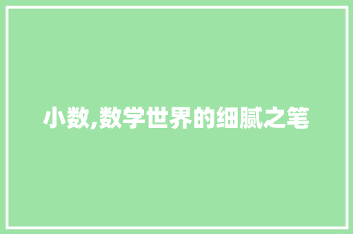 小数,数学世界的细腻之笔 神马SEO