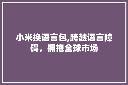 小米换语言包,跨越语言障碍，拥抱全球市场