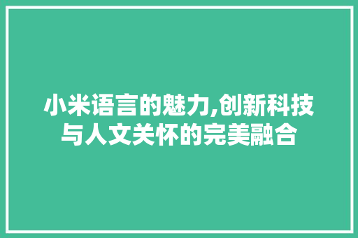 小米语言的魅力,创新科技与人文关怀的完美融合 必应SEO