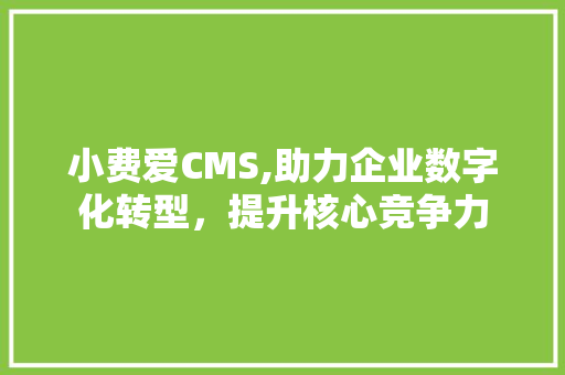 小费爱CMS,助力企业数字化转型，提升核心竞争力 神马SEO