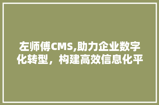 左师傅CMS,助力企业数字化转型，构建高效信息化平台 神马SEO