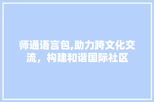 师通语言包,助力跨文化交流，构建和谐国际社区 搜狗SEO